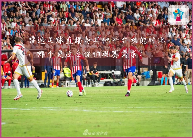 雷速足球直播与其他平台功能对比，哪个更适合你的观赛需求？