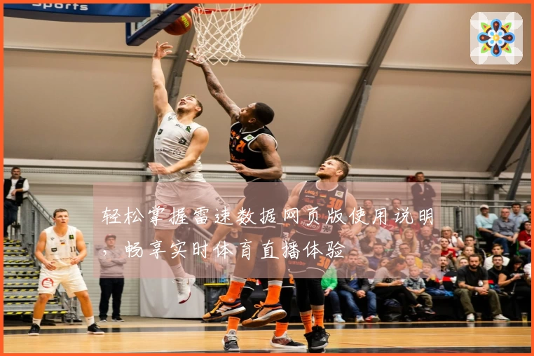 轻松掌握雷速数据网页版使用说明，畅享实时体育直播体验